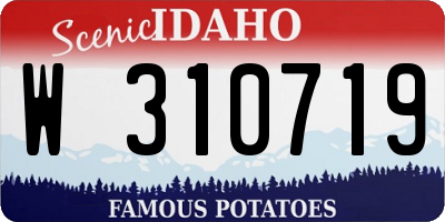 ID license plate W310719