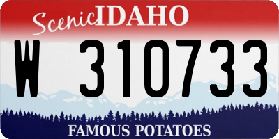 ID license plate W310733