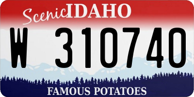 ID license plate W310740