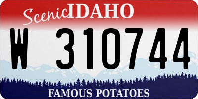 ID license plate W310744