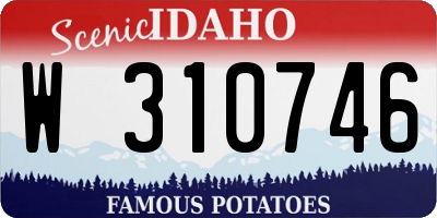 ID license plate W310746