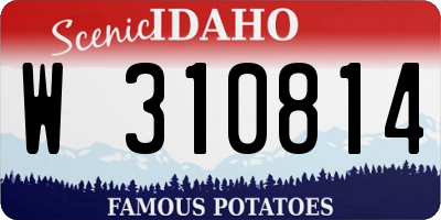 ID license plate W310814