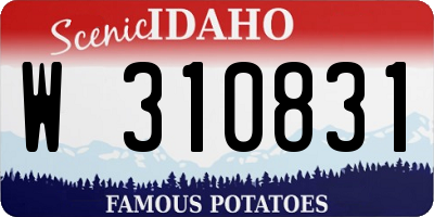 ID license plate W310831