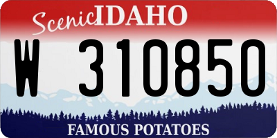 ID license plate W310850