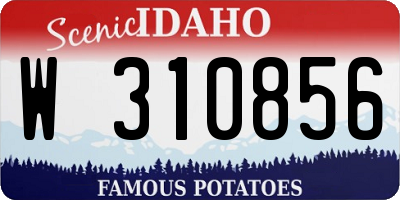 ID license plate W310856