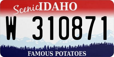ID license plate W310871