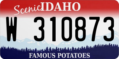 ID license plate W310873