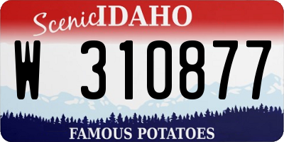 ID license plate W310877