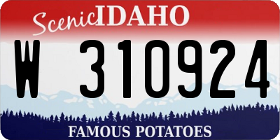 ID license plate W310924
