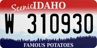 ID license plate W310930