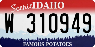 ID license plate W310949