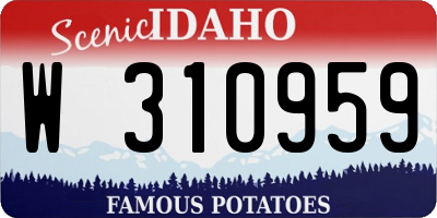 ID license plate W310959