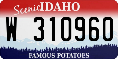 ID license plate W310960