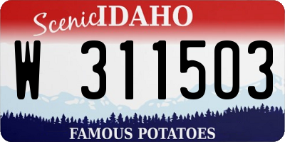 ID license plate W311503