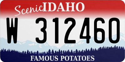 ID license plate W312460
