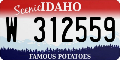 ID license plate W312559