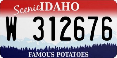 ID license plate W312676