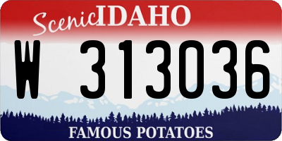 ID license plate W313036