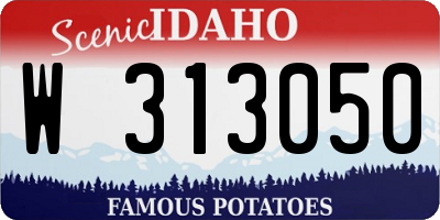 ID license plate W313050