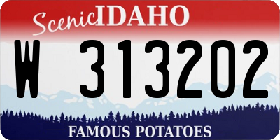 ID license plate W313202