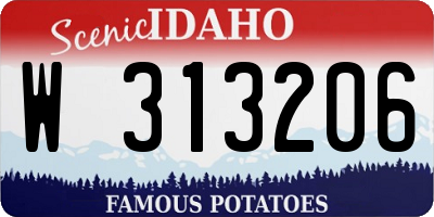 ID license plate W313206