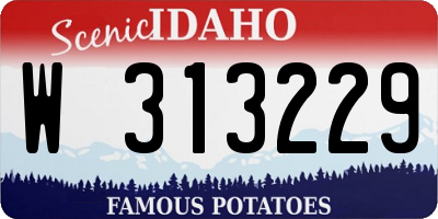 ID license plate W313229