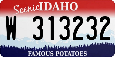 ID license plate W313232
