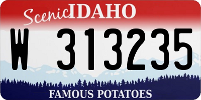 ID license plate W313235