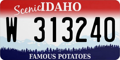 ID license plate W313240