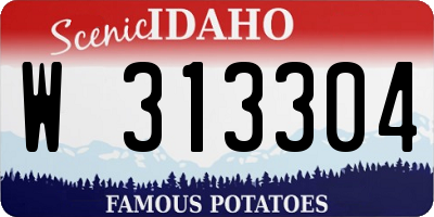 ID license plate W313304