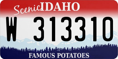 ID license plate W313310