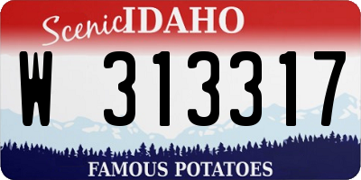 ID license plate W313317