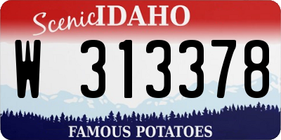ID license plate W313378