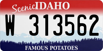ID license plate W313562