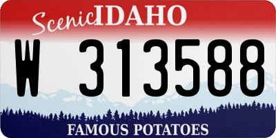 ID license plate W313588