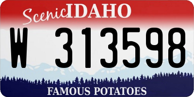 ID license plate W313598