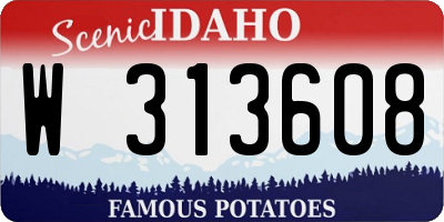ID license plate W313608