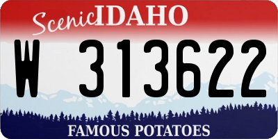 ID license plate W313622