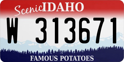ID license plate W313671