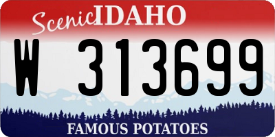 ID license plate W313699