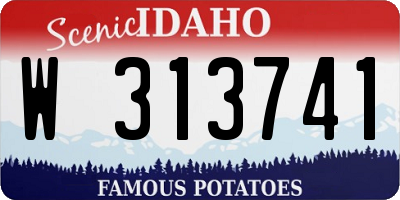 ID license plate W313741