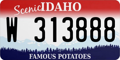ID license plate W313888