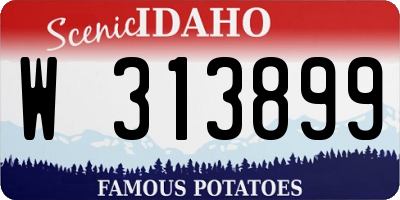 ID license plate W313899