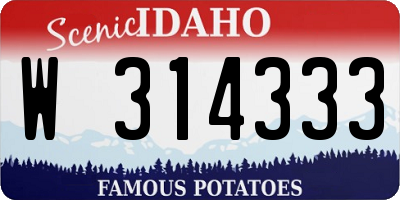 ID license plate W314333
