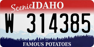 ID license plate W314385