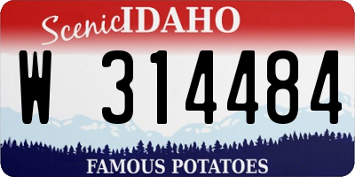 ID license plate W314484