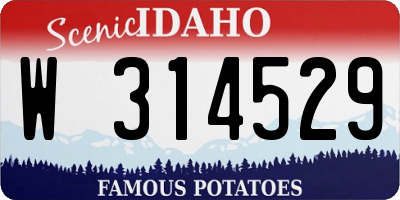 ID license plate W314529