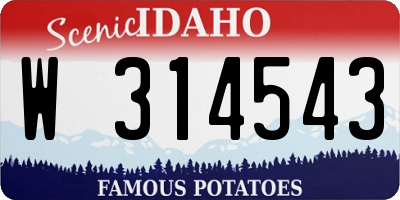 ID license plate W314543
