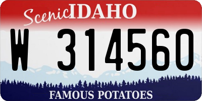 ID license plate W314560