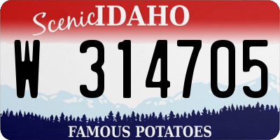 ID license plate W314705